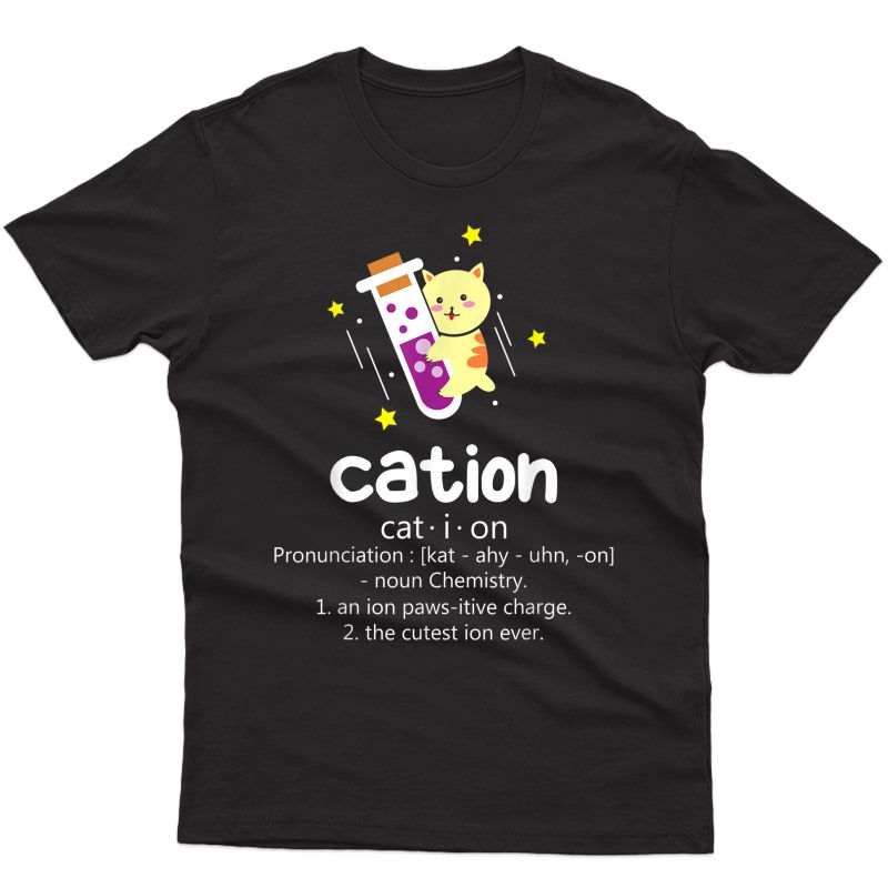 Cation Definition Pun Cat Lover Chemist And Physics Joke T-shirt